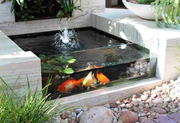 Pond koi landscaping fishpond backyard