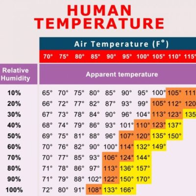 Wohnzimmer Temperatur Luftfeuchtigkeit Wohlfühlklima schaffen